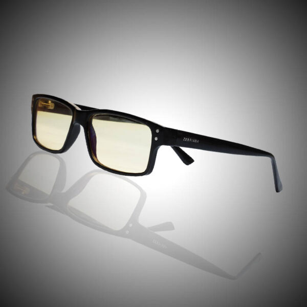 Z Shield Judge - Image 2